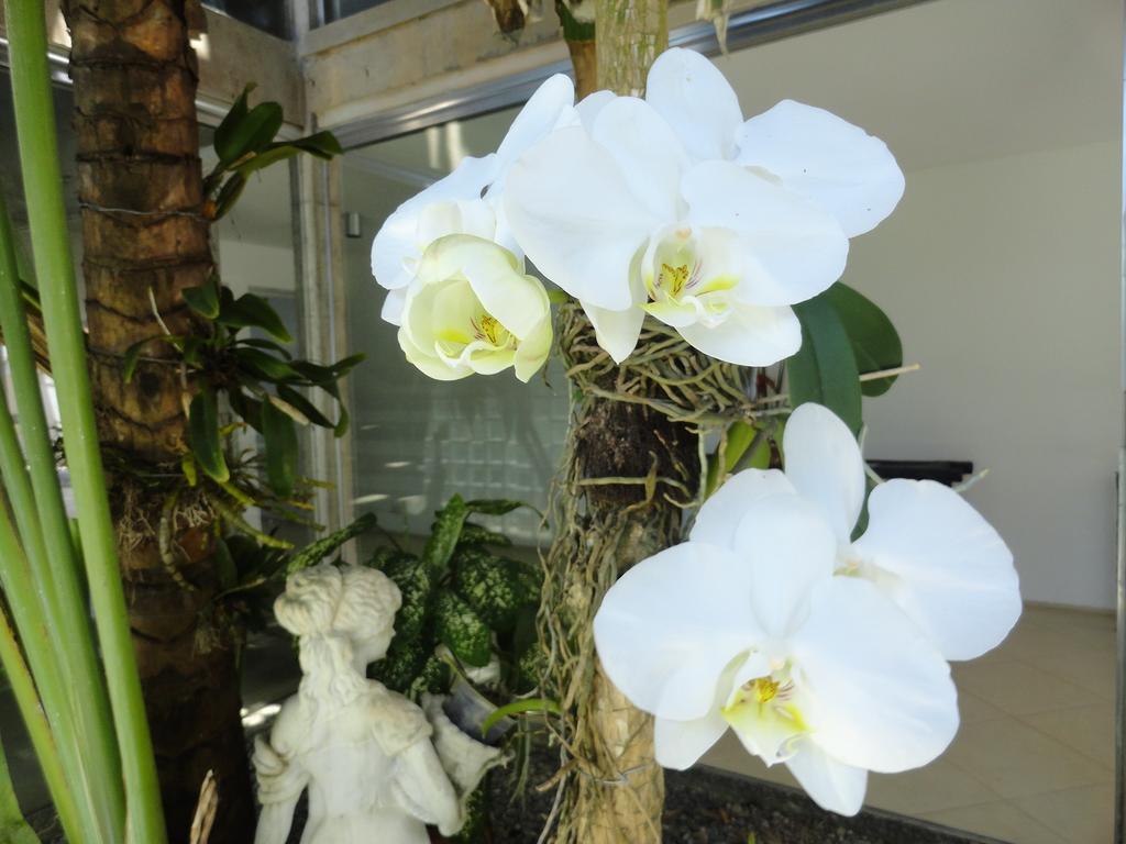 Pousada Orquideas グァルジャー エクステリア 写真